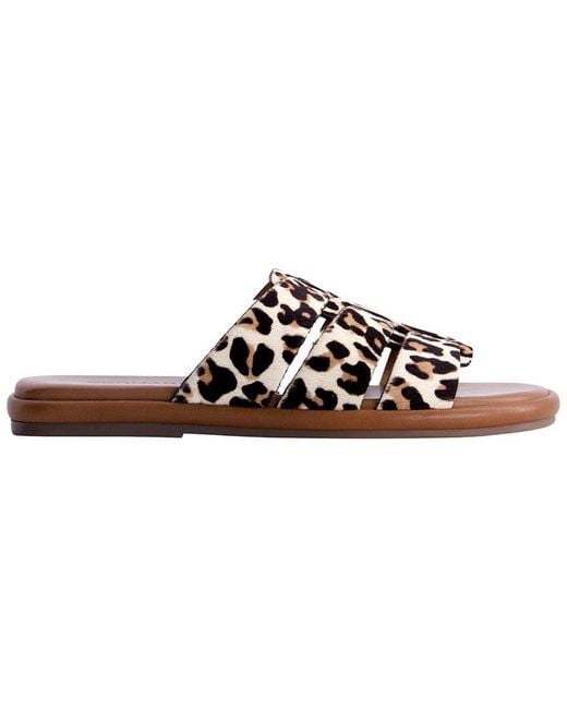 Bernardo Brown Tamer Haircalf Flat Sandal