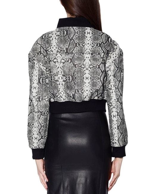 Walter Baker Gray Lindsey Leather Jacket