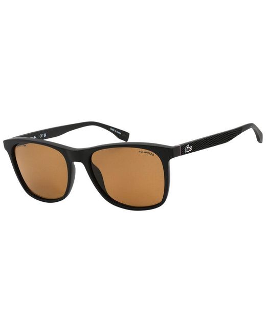 Lacoste Brown L860Sp 56Mm Polarized Sunglasses