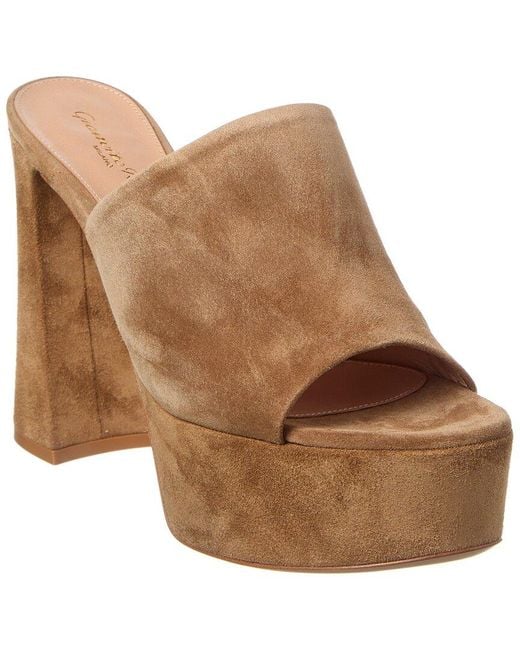 Gianvito Rossi Brown Holly Suede Mule