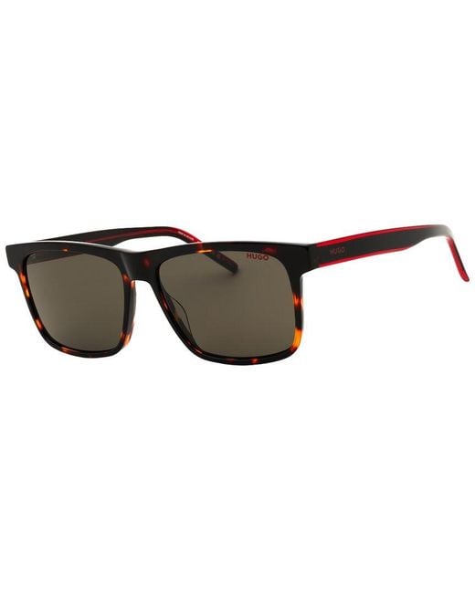 HUGO Brown Boss 55Mm Sunglasses for men