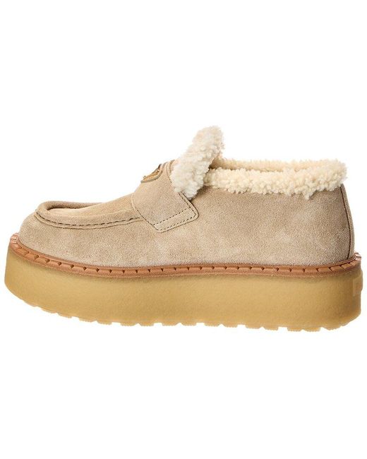 Prada Natural Suede Platform Loafer