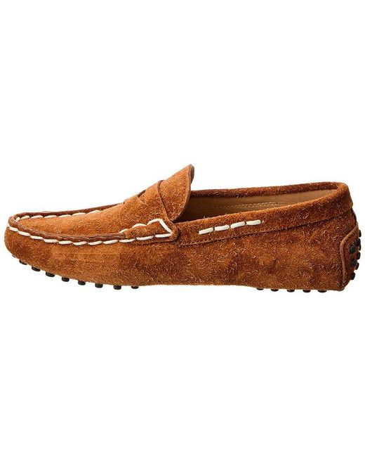 Tod's Brown Gommino Suede Loafer for men