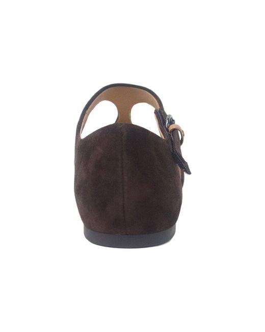 Gentle Souls Brown Wyatt Suede Flat