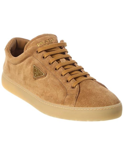 Prada Brown Suede Sneaker for men