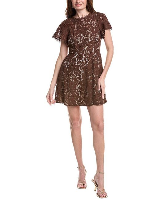 Adrianna Papell Brown Lace Mini Dress