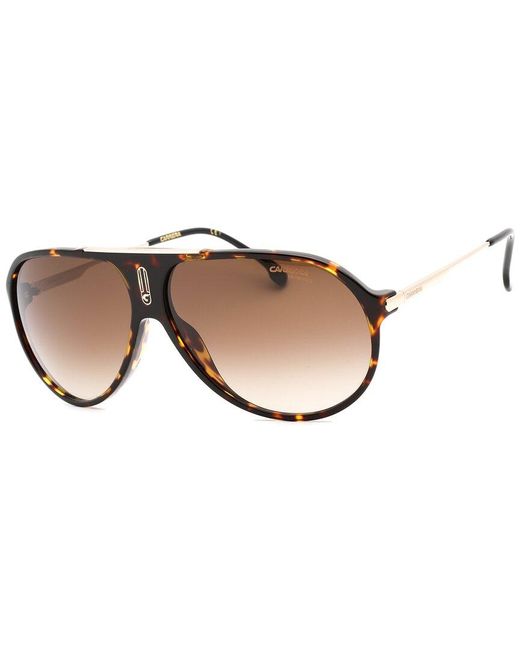 Carrera Brown Hot65 64mm Sunglasses for men