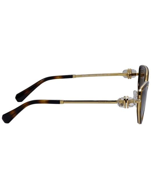 Swarovski Brown Sk7027 56Mm Sunglasses