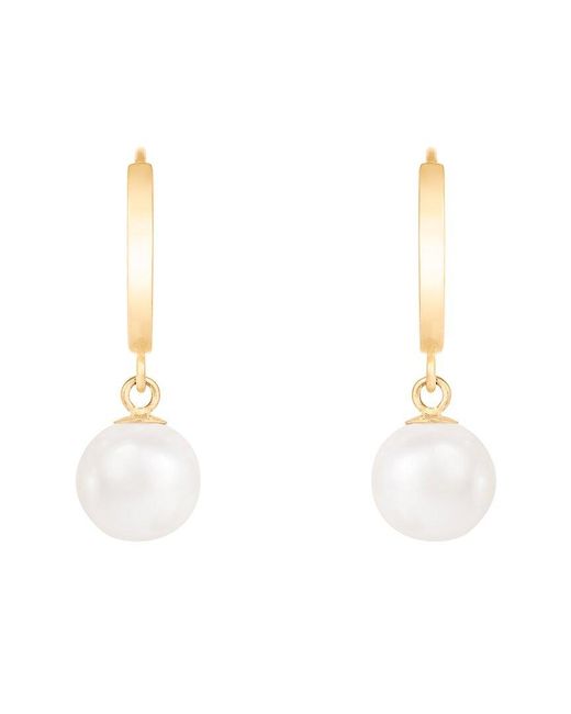 Splendid White 14k 7-7.5mm Pearl Earrings