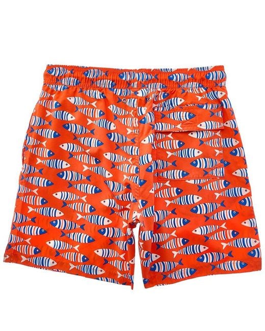 Tom & Teddy Red Fish Swim Trunk for men