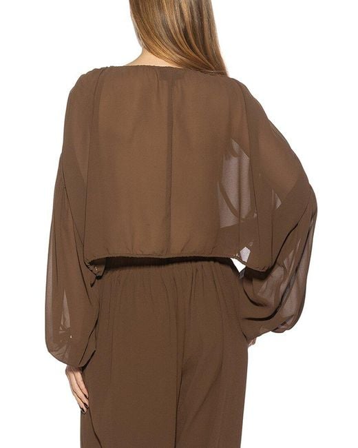 Alexia Admor Brown Luca Top