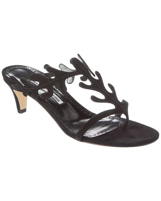 Manolo Blahnik Black Hidrag 50 Suede Mule
