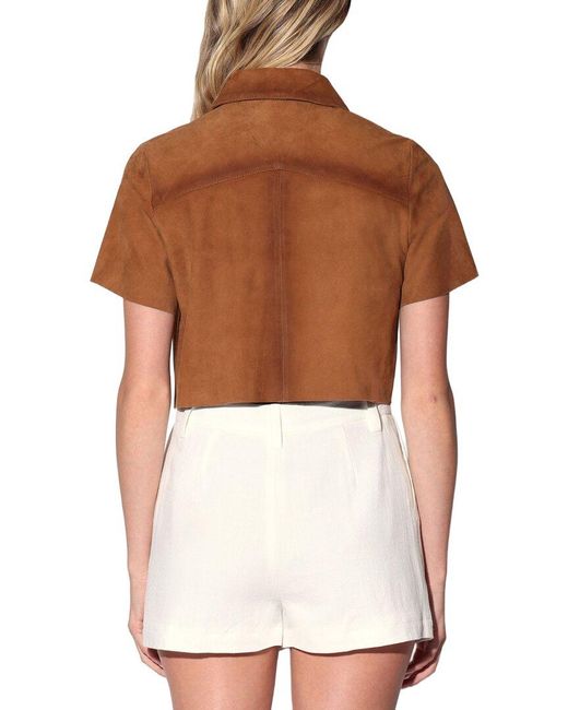 Walter Baker Brown Karla Suede Top