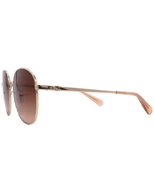 COACH Brown Hc7189 55Mm Sunglasses