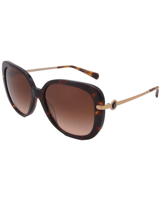 COACH Brown Hc8320 55Mm Sunglasses