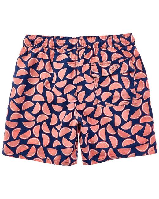 Tom & Teddy Red Watermelon Swim Trunk for men