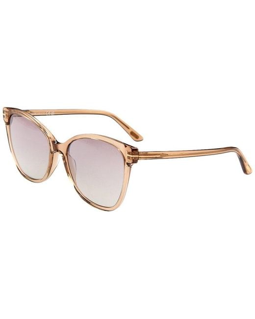 Tom Ford Brown Ani 58Mm Sunglasses