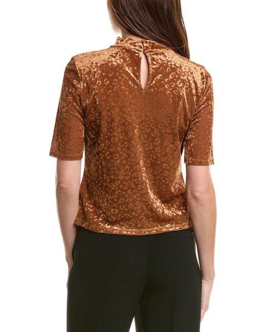 Vince Camuto Brown Velvet Top