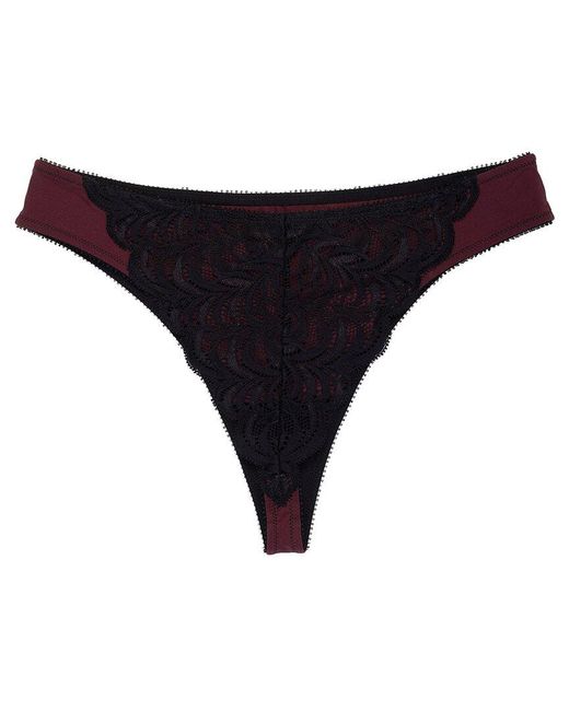 Natori Blue Persuasion Stretch Lace Thong