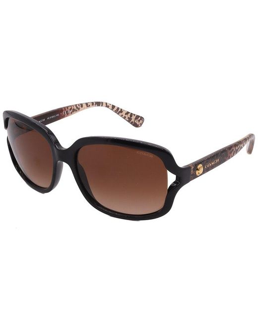 COACH Brown Hc8169 57Mm Sunglasses