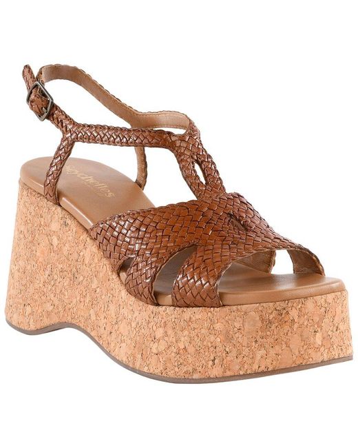 Seychelles Brown Nolia Leather Sandal