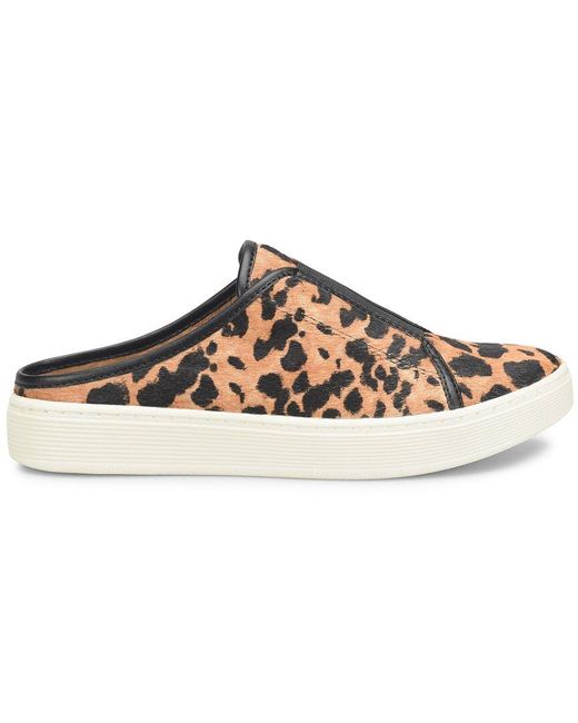 Söfft Brown Beekon Leather Sneaker