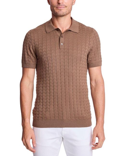 Paisley & Gray Brown Polo Shirt for men