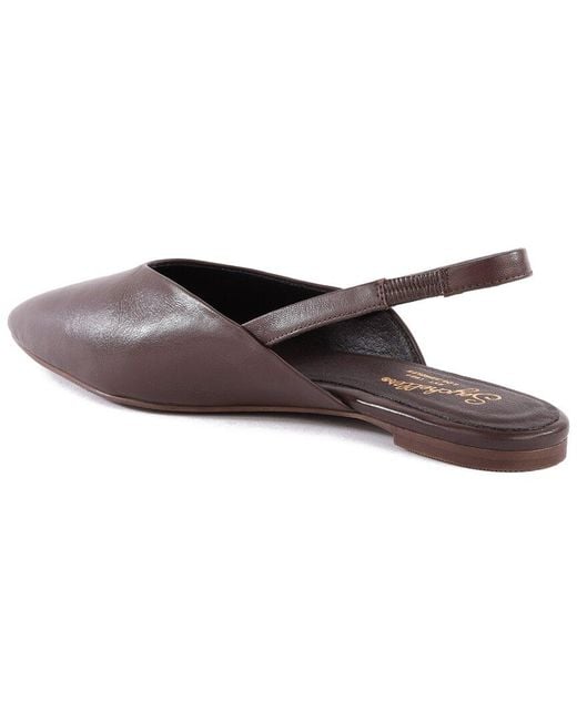 Seychelles Brown Holli Leather Flat