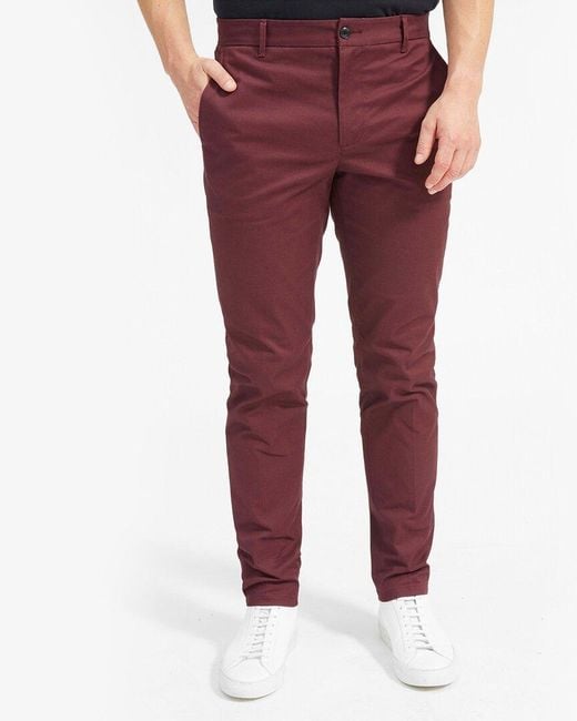 Everlane Red The Heavyweight Athletic Chino for men