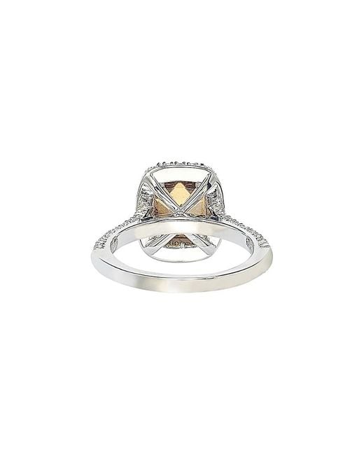 Suzy Levian CZ Jewelry White Suzy Levian Silver Cz Halo Ring