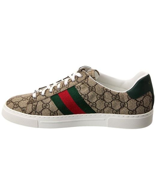 Gucci Green Ace Web GG Supreme Canvas & Leather Sneaker for men