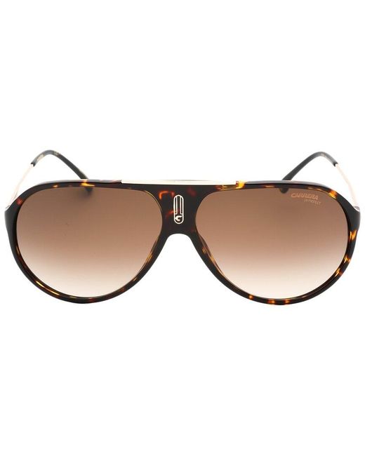 Carrera Brown Hot65 64mm Sunglasses for men