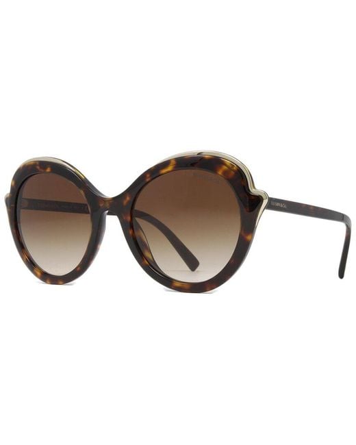 Tiffany & Co Brown Havana Round Gradient Sunglasses