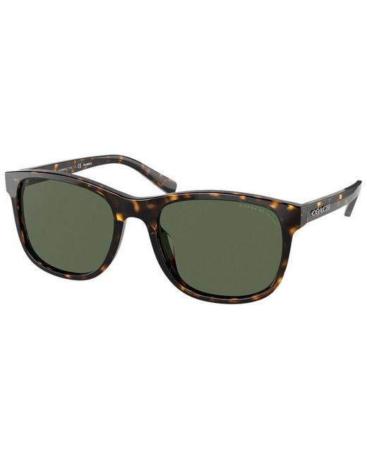 COACH Green Hc8283U 55Mm Polarized Sunglasses for men