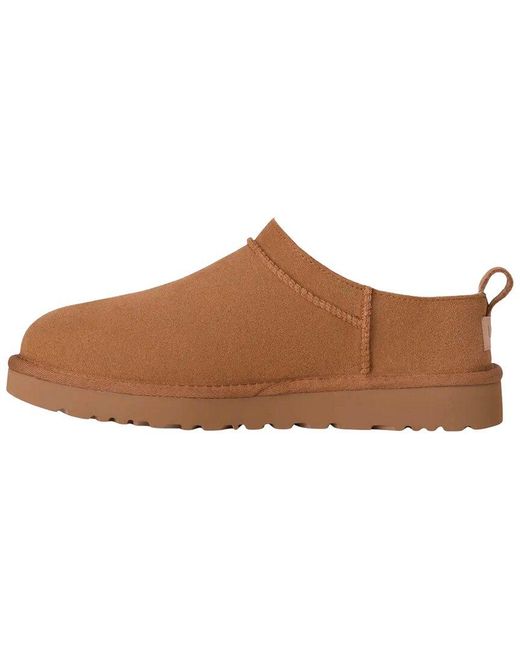 Ugg Brown Classic Micro Booties