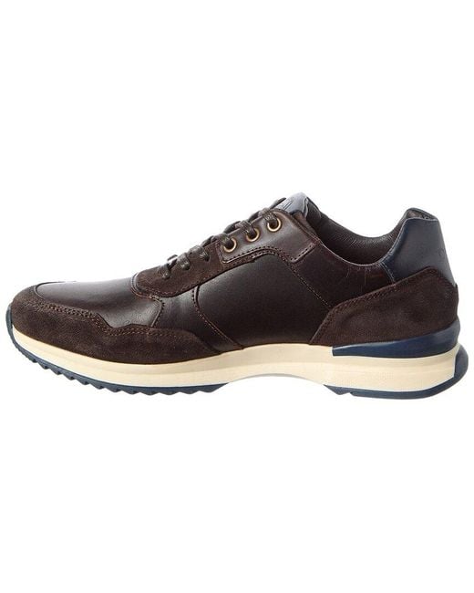 Dune Brown Leather Sneaker for men