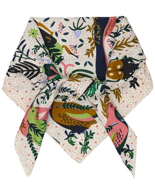 Saachi Multicolor Birds & Insects Bandana