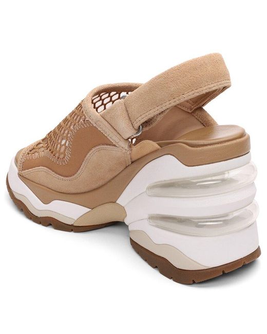 Ash Natural Ceva Wedge