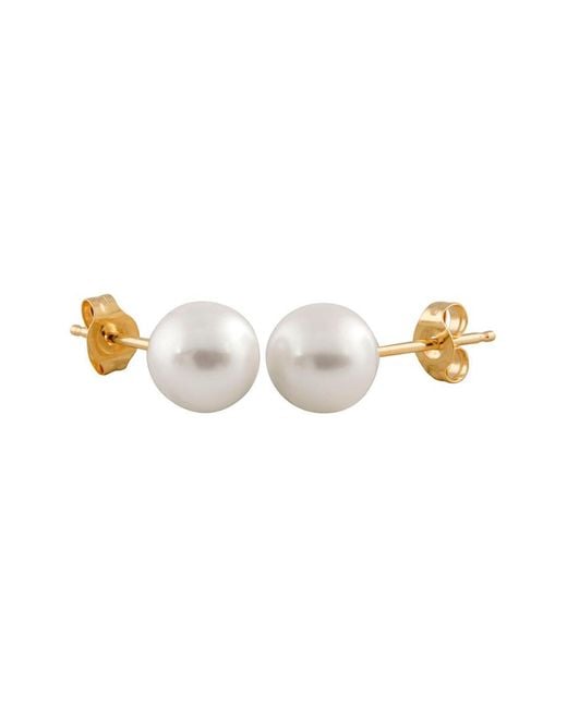 Splendid Multicolor 14k 6.5-7mm Akoya Pearl Studs