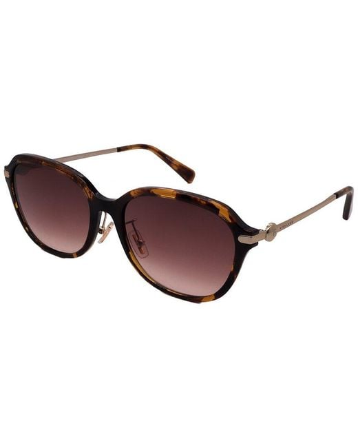 COACH Brown Hc8332D 56Mm Sunglasses