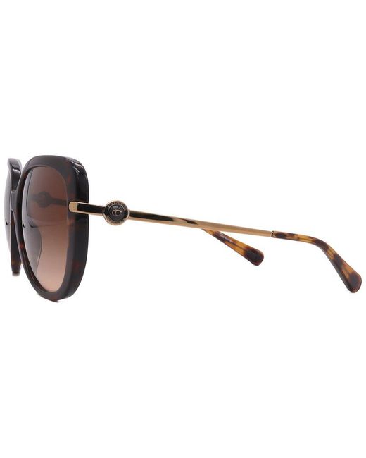 COACH Brown Hc8320 55Mm Sunglasses