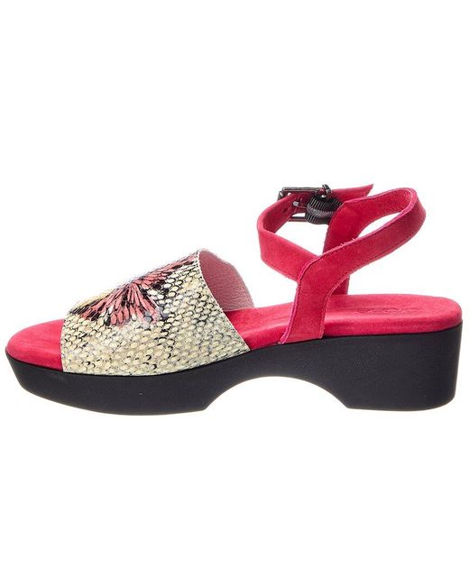 Arche Pink Kimoko Leather Sandal