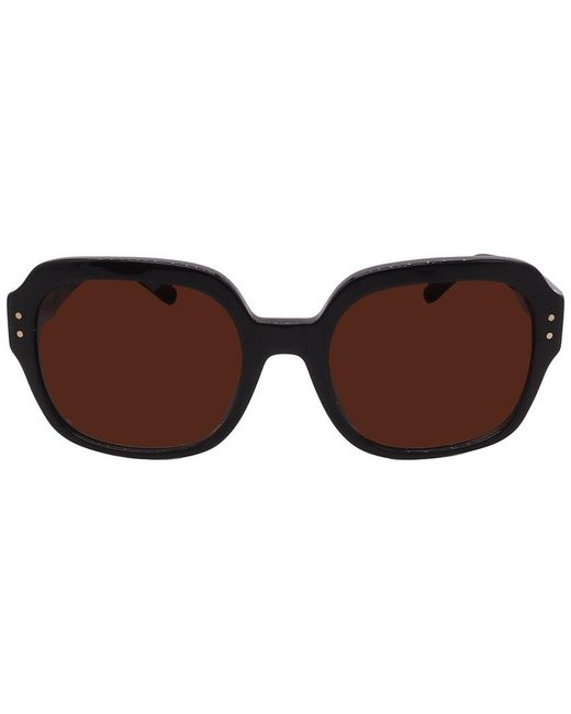 Tory Burch Brown Ty7143U 56Mm Sunglasses