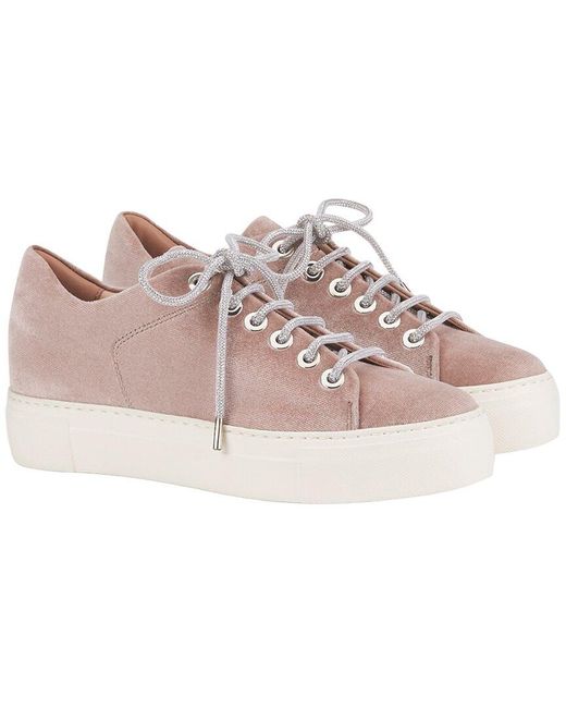 Agl Attilio Giusti Leombruni Pink Vananda Velvet Sneaker