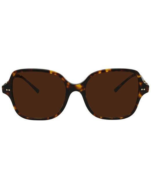 BVLGARI Brown Bv8240 54Mm Sunglasses