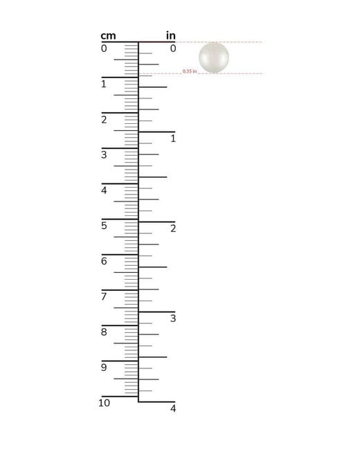 Masako Pearls 14k 8.5-9mm White South Sea Pearl Earrings