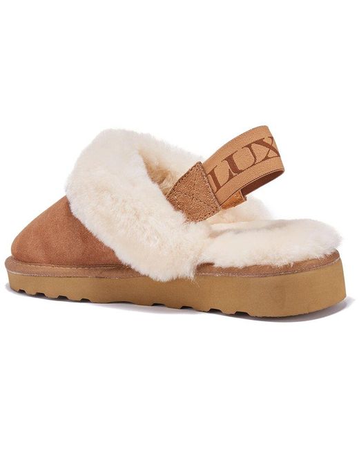 Australia Luxe Brown Mool Suede Slipper