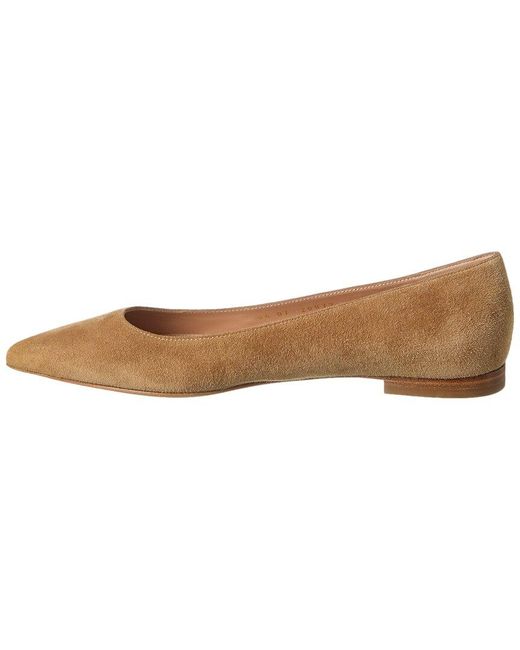Gianvito Rossi Natural Suede Flat