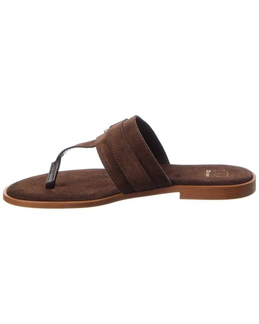 Dune Brown Lotica Suede Sandal