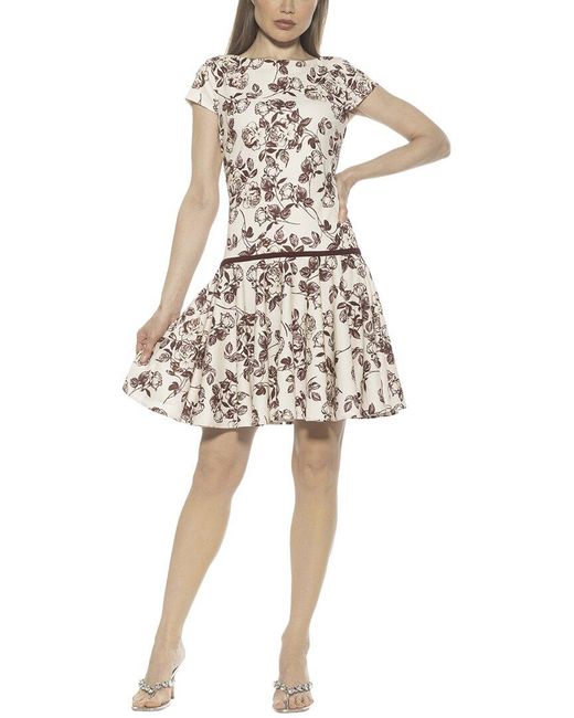 alexia admor a-line dress Alexia Admor Angellyne Collared V Neck Fit and Flare Dress for Women I Perfect for The Workplace and Semi-Formal Occasions Navy White at Amazon Women's Clothing store
